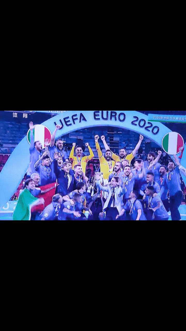 意大利队在决赛中凭借点球战胜英格兰